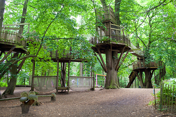 Bewilderwood2replace