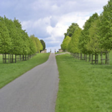 Haigh Hall and Country Park