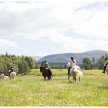 Rothiemurchus Estate