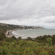 East Cliffe and Warren Country Park