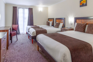 Standard 4 Person Family Room