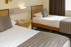 Standard 3 Person Family Room 