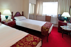 Executive Twin Room