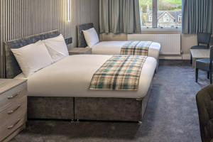 Standard 3 Person Family Room