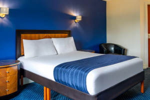 Executive Double Room