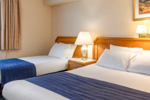 Standard 3 Person Family Room