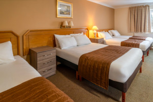 Standard 5 Person Family Room