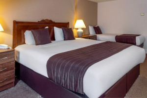 Standard 3 Person Family Room