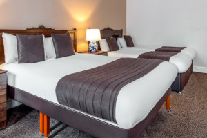 Standard 4 Person Family Room