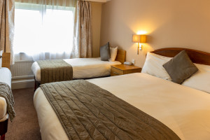 Standard 3 Person Family Room