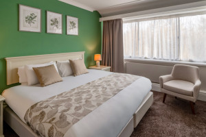 Double Executive Room