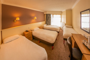 Standard 4 Person Family Room