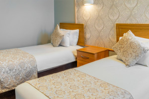 Executive Twin Room