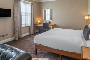 Standard 4 Person Family Room