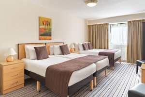 Standard 4 Person Family Room 
