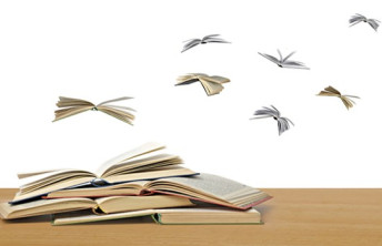 Book Fanatics Head To Sandy Scarborough