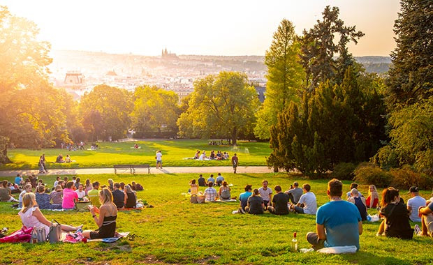 Summer-Picnic