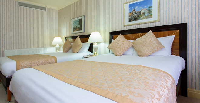 Standard 3 Person Family Room 