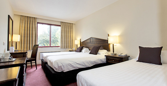 Standard Triple Room 